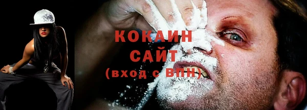 ALPHA PVP Куйбышев