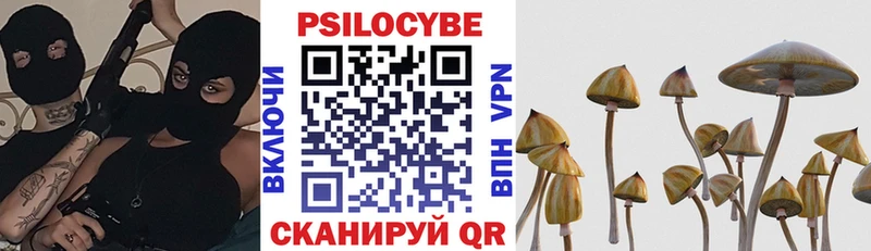 где купить наркотик  Брянск  Галлюциногенные грибы Magic Shrooms 
