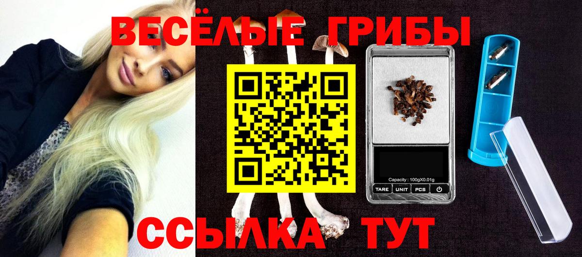 Галлюциногенные грибы MAGIC MUSHROOMS  Вход с VPN  Брянск  Галлюциногенные грибы Cubensis 