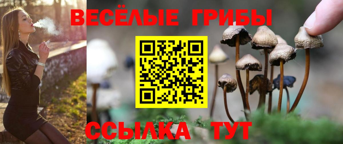 Галлюциногенные грибы прущие грибы Брянск